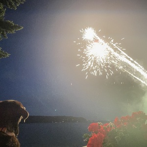 Fundraising Page: Jeanne Binder